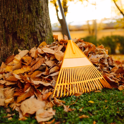 Yellow rake with pile of fallen leaves beside a tree