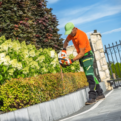 Man trimming hedges along a driveway